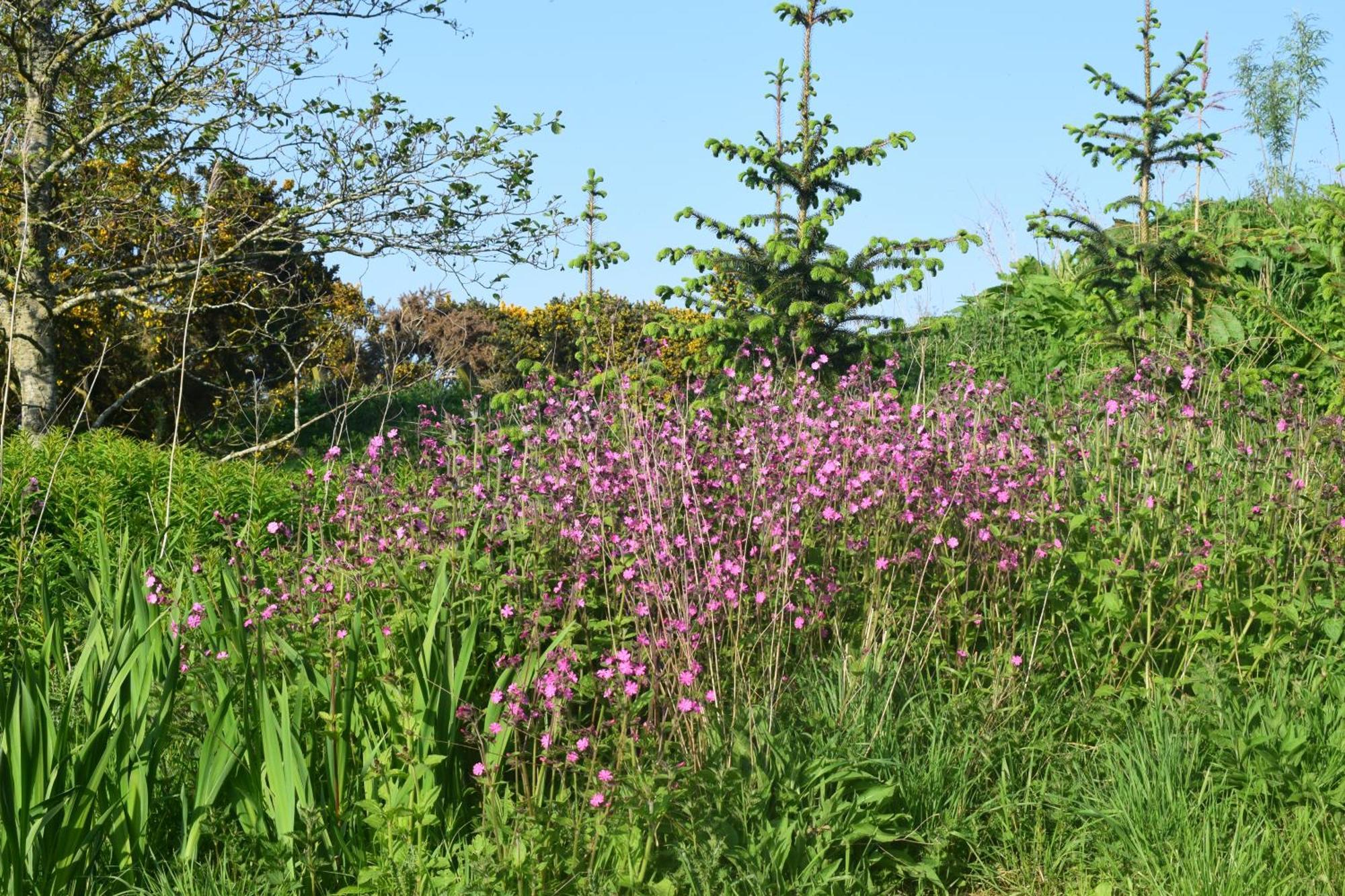 Turriff Shepherd'S Loch Glamping מראה חיצוני תמונה
